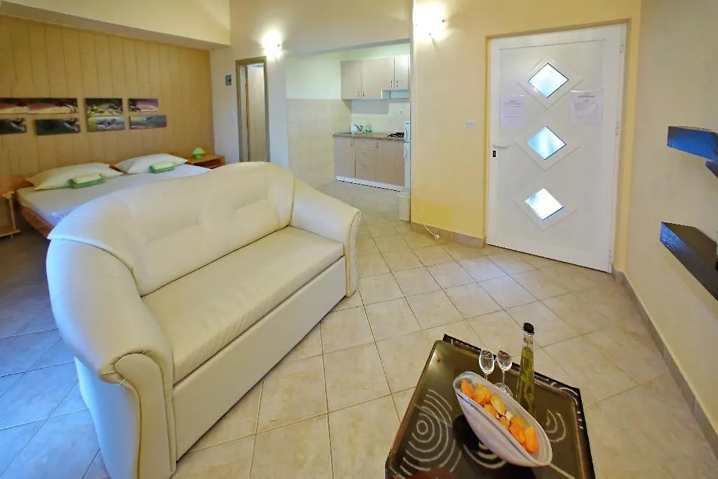 Apartment Apartman-Studio Vanda Bibinje